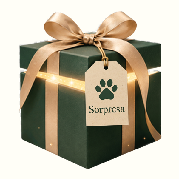 Sorpresa