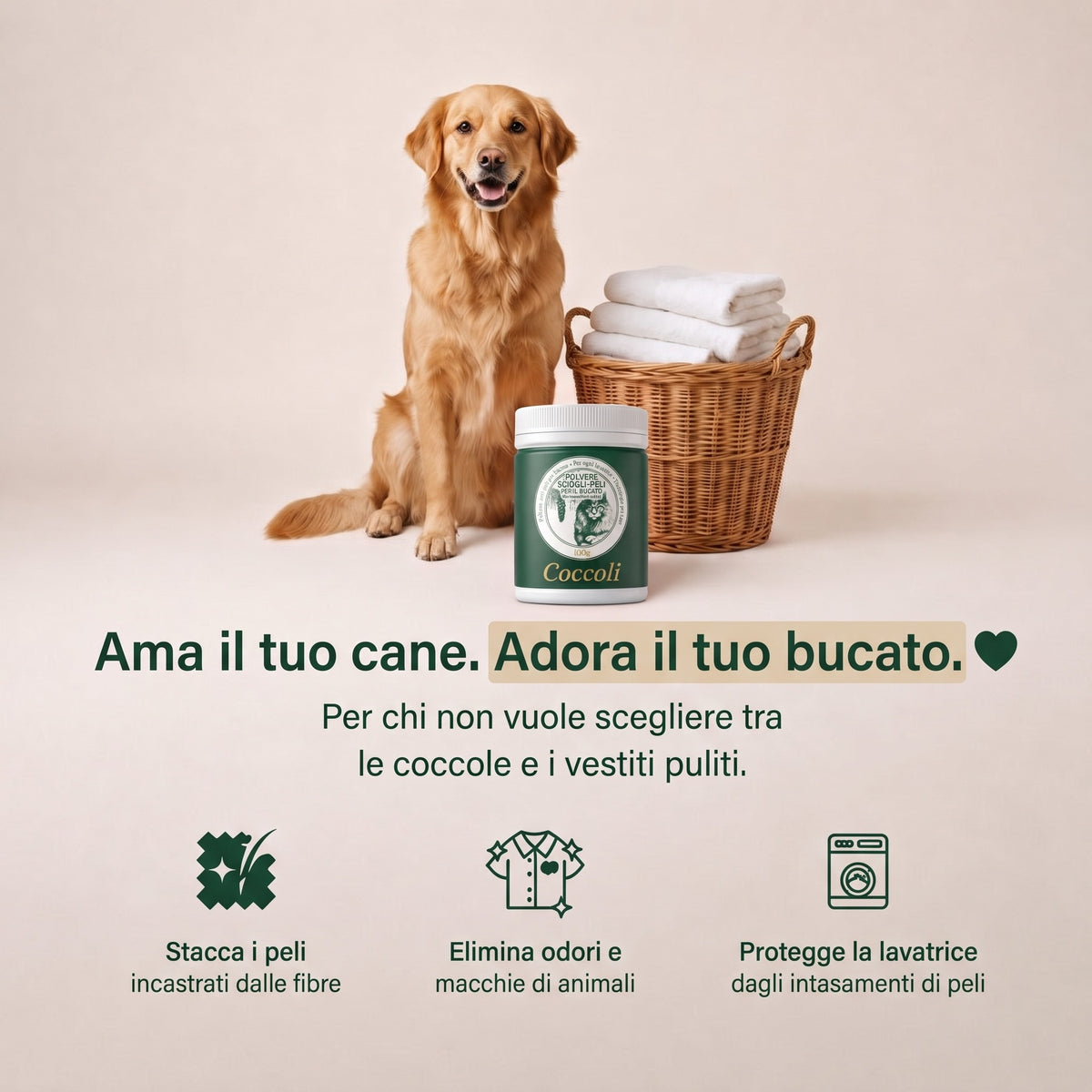 Ama il tuo cane, adora il tuo bucato