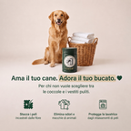 Ama il tuo cane, adora il tuo bucato